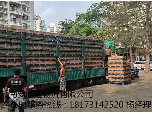 &#31859;&#20848;&#23448;&#26041;&#32593;&#39029;&#29256;&#45;&#31859;&#20848;&#40;&#20013;&#22269;&#41;